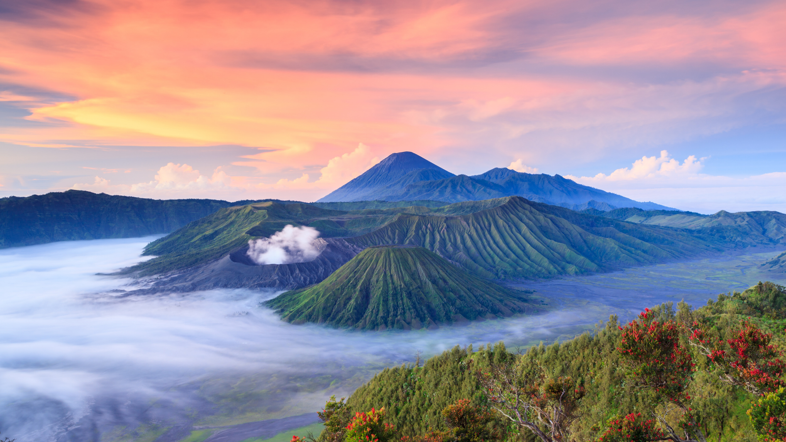 Malang
